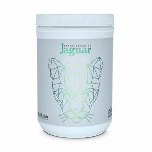 Proteína Fitness Vegana