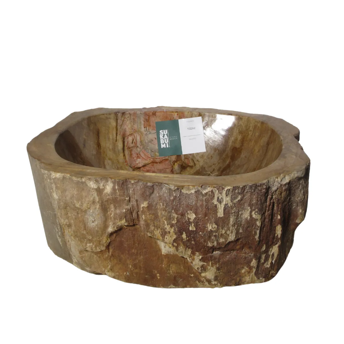 Ovalin de Madera Petrificada (Chico) 047MP-3040-1-317 - Tienda Nación Digital Ovalin de Madera Petrificada (Chico) 047MP-3040-1-317